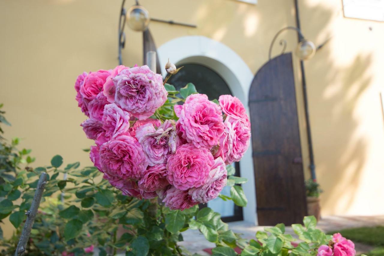 Appartamento Casa Dei Lecci Foligno Esterno foto